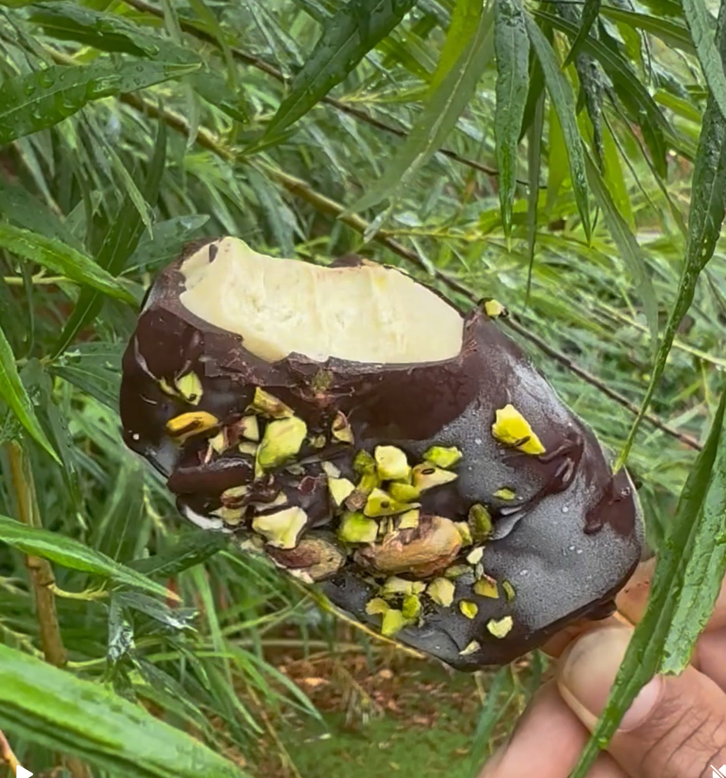 Vanilla Chocolate Chip Ice Cream
