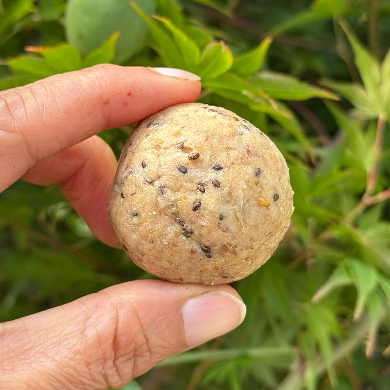 Protein Balls